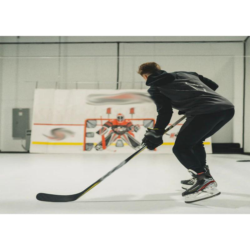 Ice hockey stadium